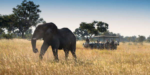 Safari Extraordinária Botswana by andBeyond